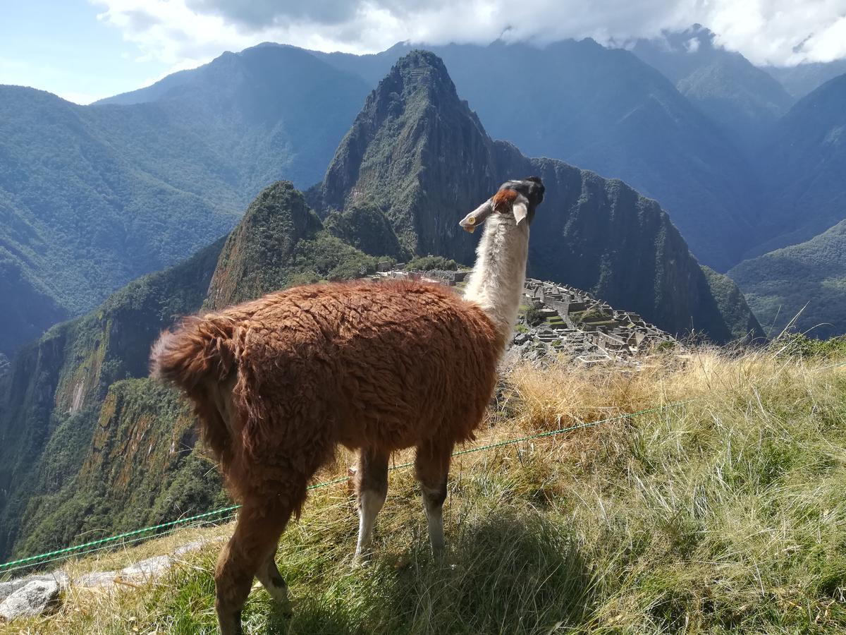 Golden Sunrise Machupicchu 호텔 외부 사진